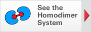 See the Homodimerization System