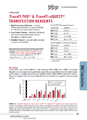 siRNA, miRNA transfection þ-TransIT-TKO,siQUEST