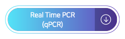 Real Time PCR (qPCR)